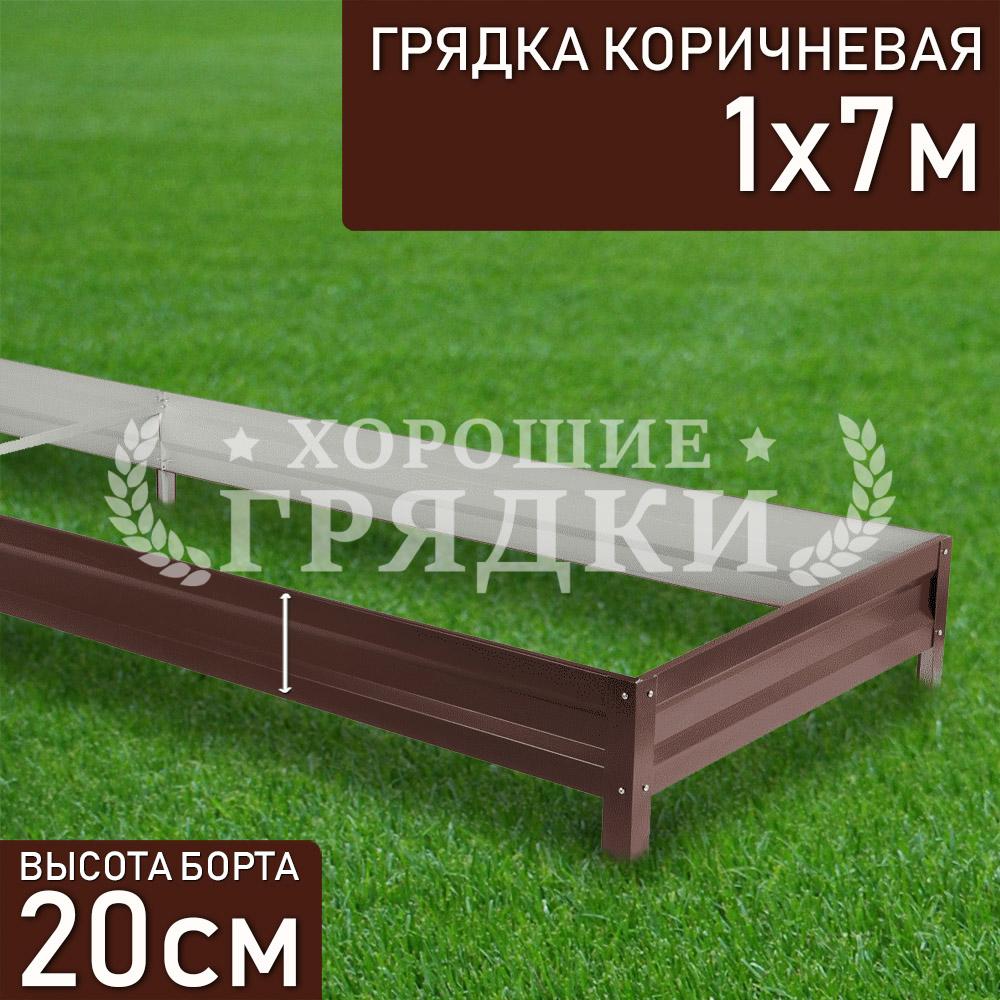 Коричневая-20-1-7